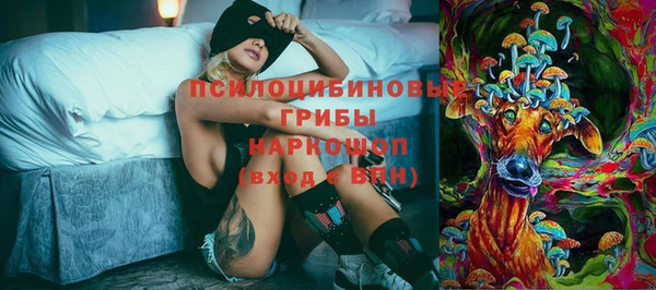 spice Армянск