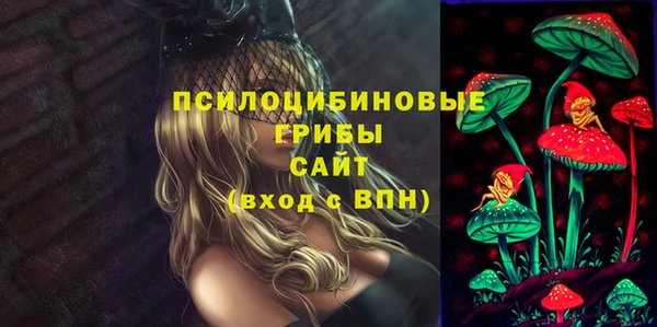MESCALINE Аркадак