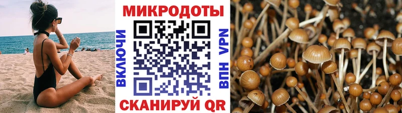 Псилоцибиновые грибы мицелий  наркота  Бабаево 